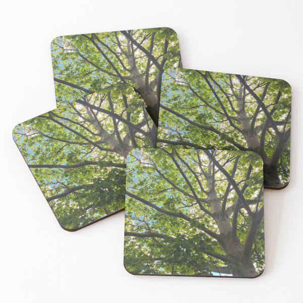 Item preview, Sycamore tree in spring.         by Lorraine-My Joy. designed and sold by Lorraine Lashley  - My Joy..