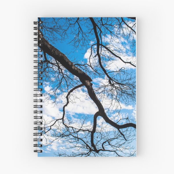 Item preview, dry branches designed and sold by Alf Ribeiro.