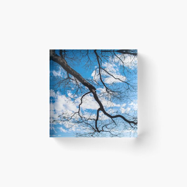 Item preview, dry branches designed and sold by Alf Ribeiro.