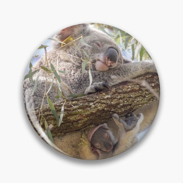 Item preview, Barty & Twiggy designed and sold by Moreton Bay Koala Rescue.