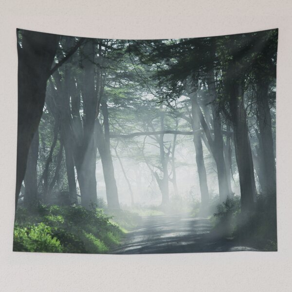 Item preview, Sunlit Forest Path designed and sold by Lunar009.