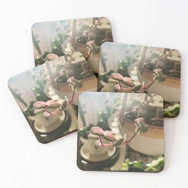 Item preview, Callisia Repens designed and sold by grdnstplantmom.