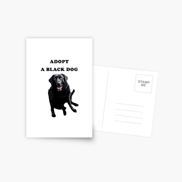 Black Dog Postcards Redbubble