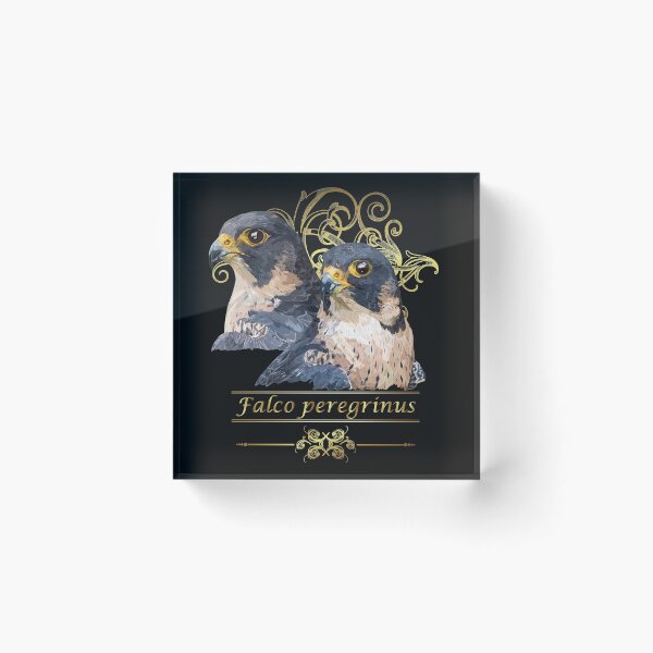 Item preview, Peregrine falcon designed and sold by obscurite.