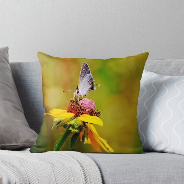 Item preview, Brown Eyed Susan & Hairstreak Butterfly designed and sold by Lorri Crossno Nevil.