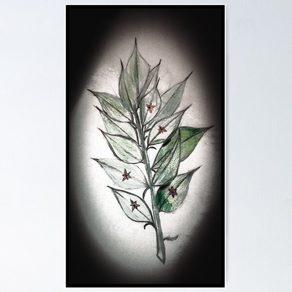 Item preview, Butcher's Broom designed and sold by Luxianro.