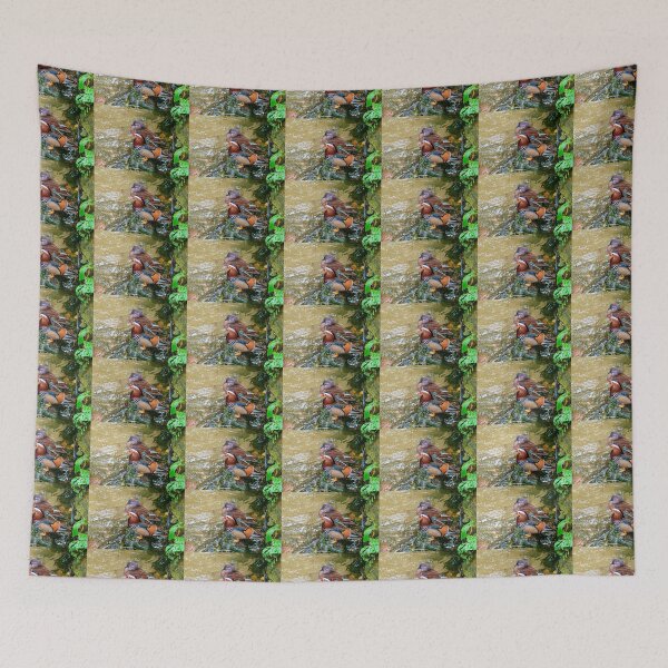 Item preview, Mr and Mrs Mandarin Duck designed and sold by Kay Brewer.