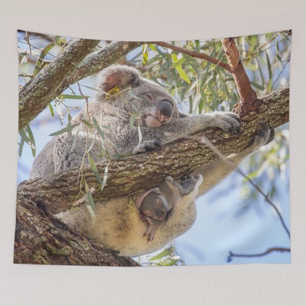 Item preview, Barty & Twiggy designed and sold by Moreton Bay Koala Rescue.