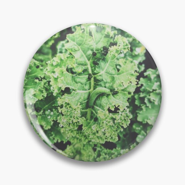 Item preview, Garden Kale and Caterpillar designed and sold by grdnstplantmom.