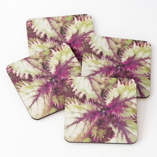 Item preview, Coleus Surprise  designed and sold by ChunkyMonty.