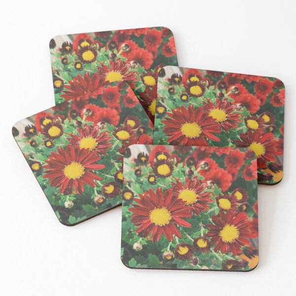 Item preview, Hardy Mum designed and sold by grdnstplantmom.