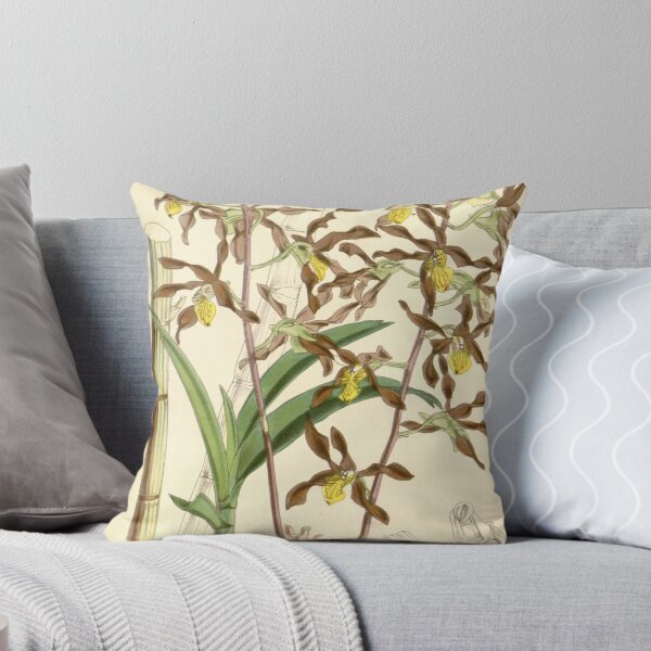 Item preview, Dendrobium johannis designed and sold by EsotericBotanic.