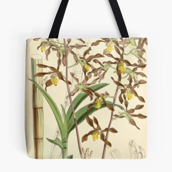 Item preview, Dendrobium johannis designed and sold by EsotericBotanic.