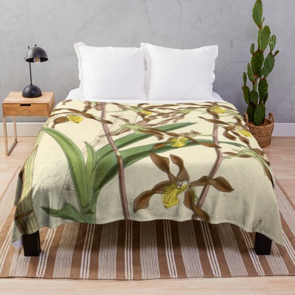 Item preview, Dendrobium johannis designed and sold by EsotericBotanic.