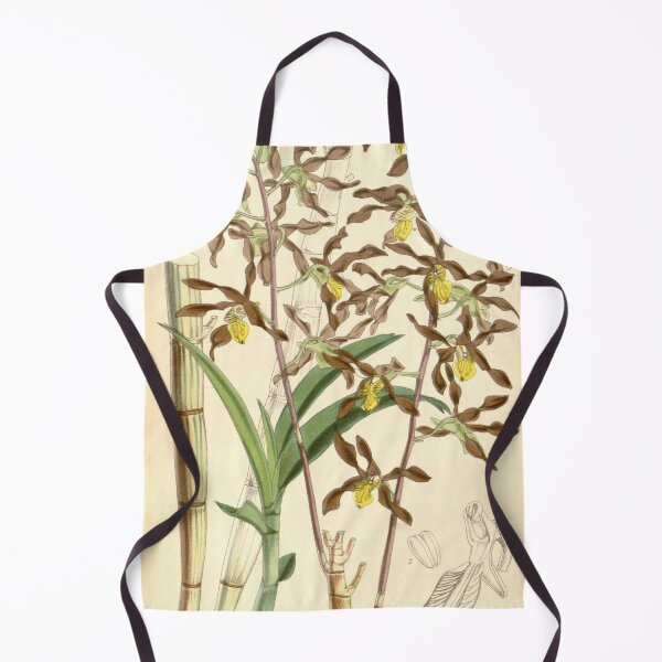 Item preview, Dendrobium johannis designed and sold by EsotericBotanic.