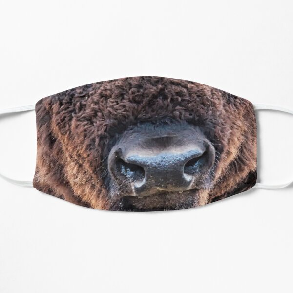 American Bison - A Living National Treasure Mask