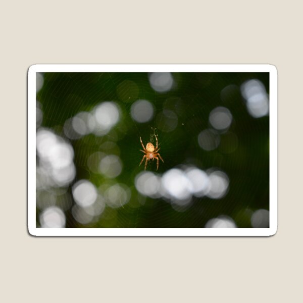 Item preview, araña designed and sold by sofialopes.