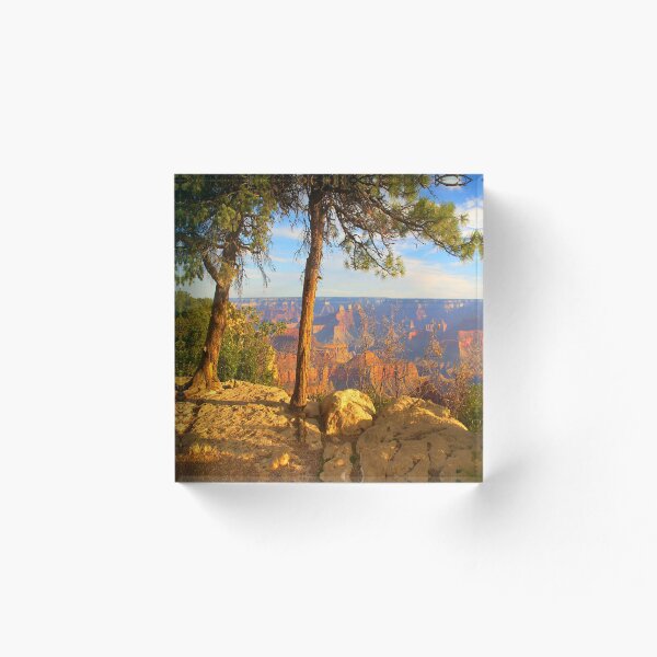 Aperçu de l'œuvre à cause des arbres, la vue sur le canyon n'est pas si ouverte créée et vendue par JohnDSmith.