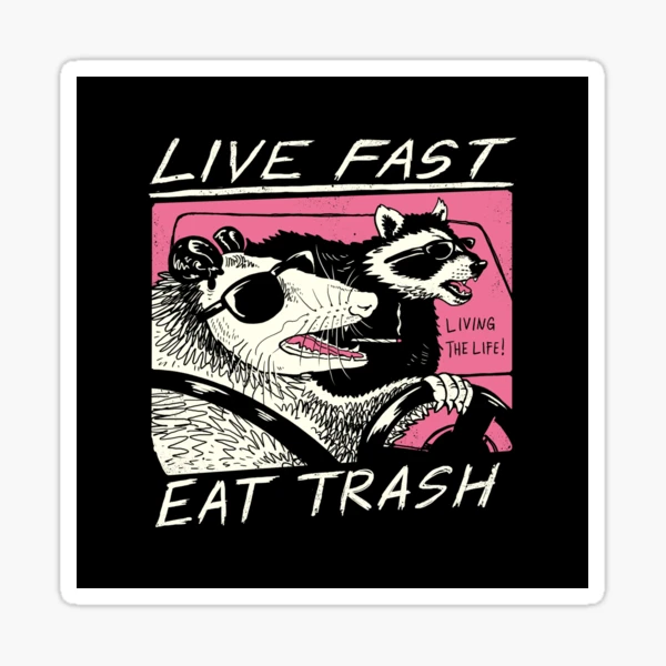 Live fast, eat trash raccoon trash panda sticker – Big Moods