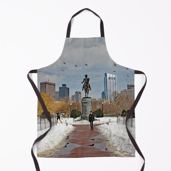 Item preview, Boston Public Garden designed and sold by Autumn Seas Photography.