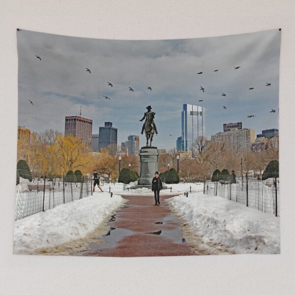 Item preview, Boston Public Garden designed and sold by Autumn Seas Photography.