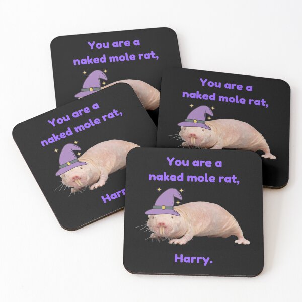Item preview, You are a naked mole rat, Harry. - Wizard naked mole rat designed and sold by Redga.