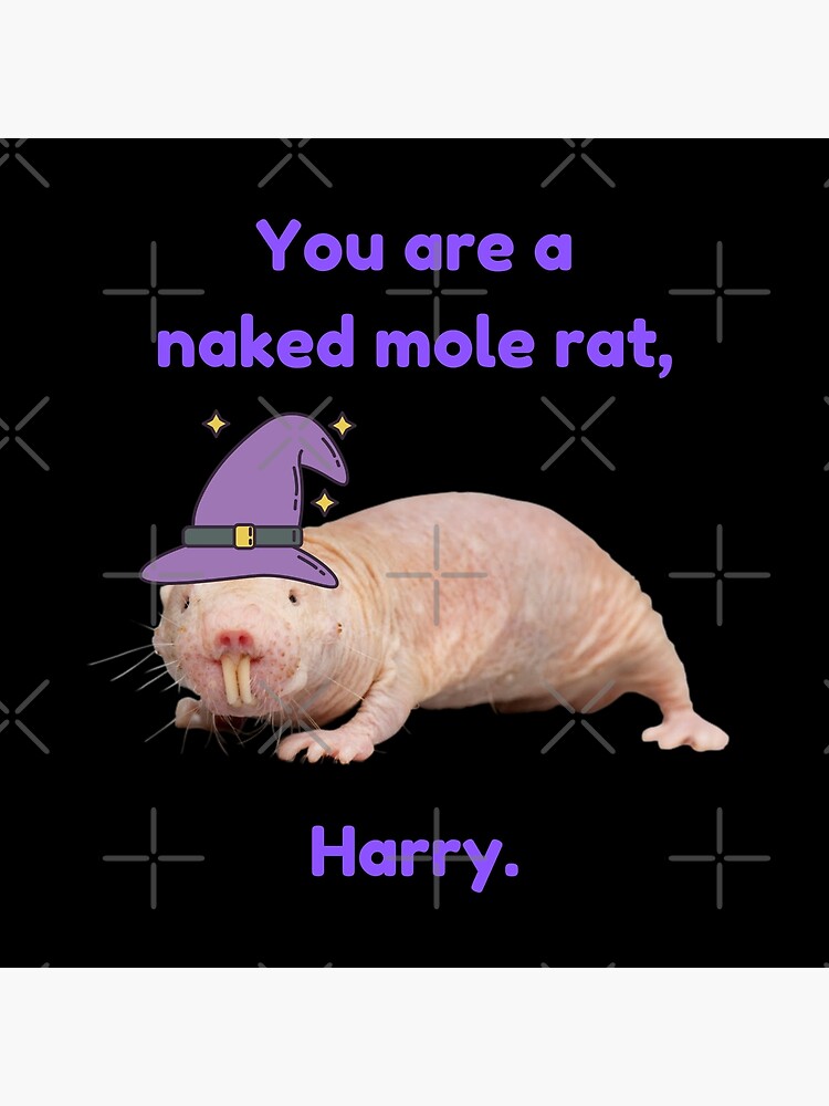 P Ster Eres Una Rata Topo Desnuda Harry Mago Rata Topo Desnuda De