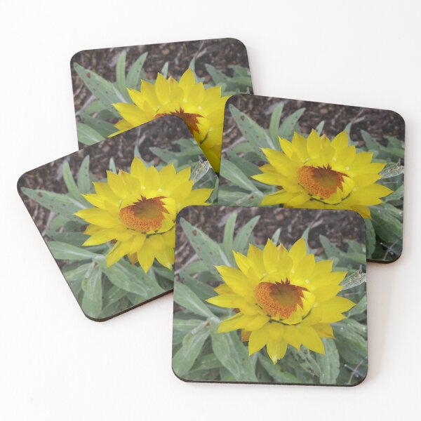 Item preview, Yellow everlasting daisy designed and sold by greentiger1.