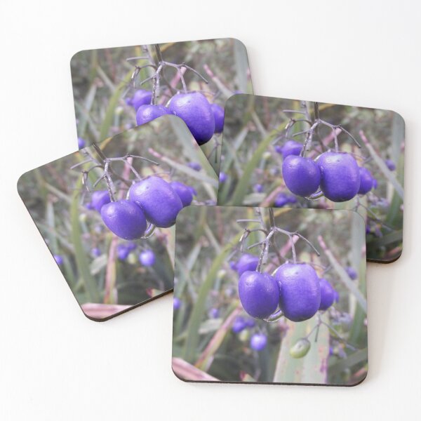 Item preview, Dianella tasmanica designed and sold by greentiger1.