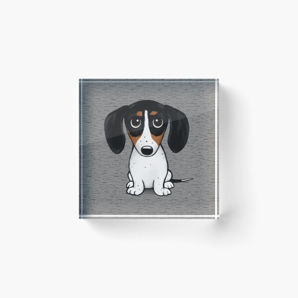 Item preview, Piebald Dachshund | Cute Black, Tan and White Wiener Dog designed and sold by Jenn Inashvili.