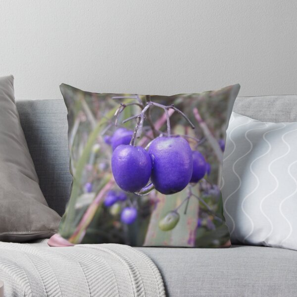 Item preview, Dianella tasmanica designed and sold by greentiger1.