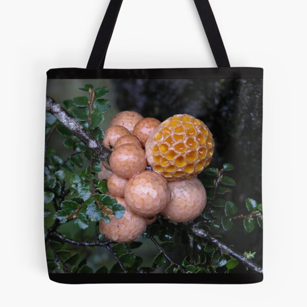 Item preview, Orange Beech Fungi, Cradle Mountain, Tasmania, Australia. designed and sold by kaysharp.