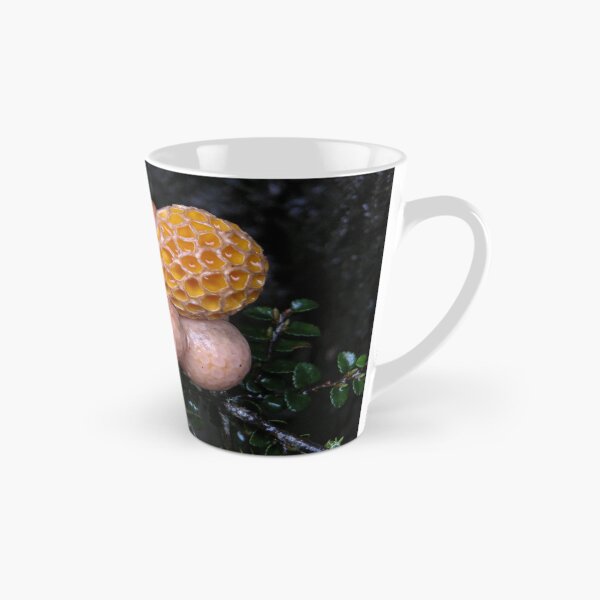 Item preview, Orange Beech Fungi, Cradle Mountain, Tasmania, Australia. designed and sold by kaysharp.
