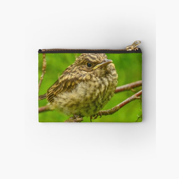 Item preview, Disheveled young thrush bird designed and sold by yarvin13.