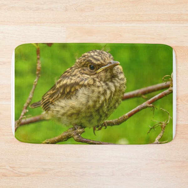 Item preview, Disheveled young thrush bird designed and sold by yarvin13.