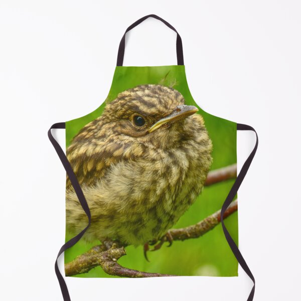 Item preview, Disheveled young thrush bird designed and sold by yarvin13.