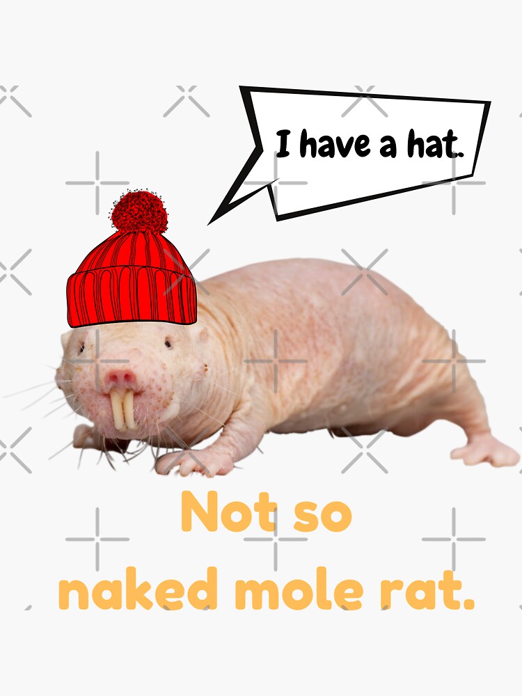 naked mole rat stuffed