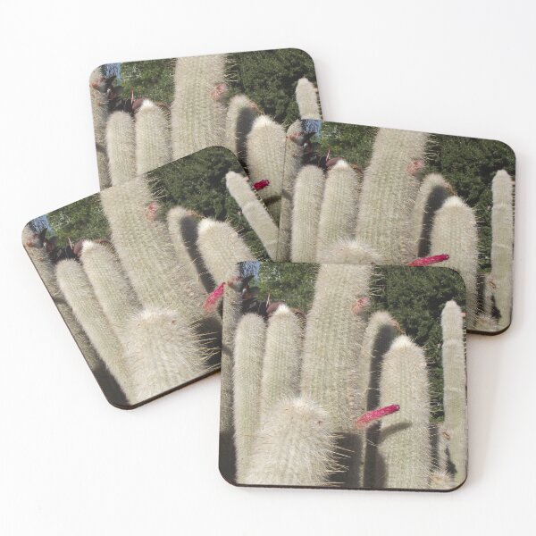 Item preview, Cleistocactus strausii designed and sold by greentiger1.