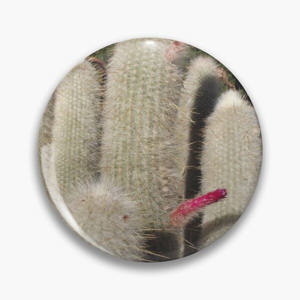 Item preview, Cleistocactus strausii designed and sold by greentiger1.