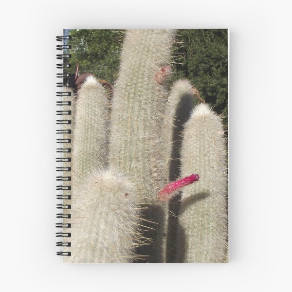 Item preview, Cleistocactus strausii designed and sold by greentiger1.