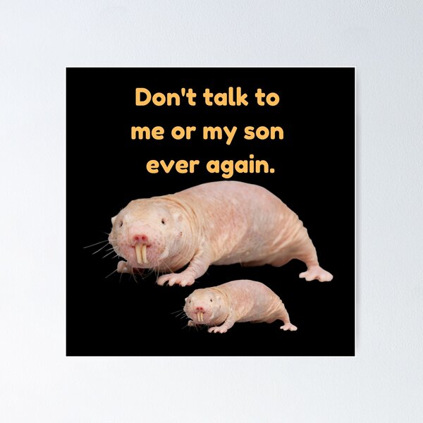 Item preview, Dont talk to me or my son ever again. - Parent and Son mole rat designed and sold by Redga.