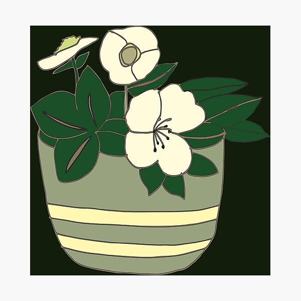 Item preview, Christmas rose pot designed and sold by Veki5.
