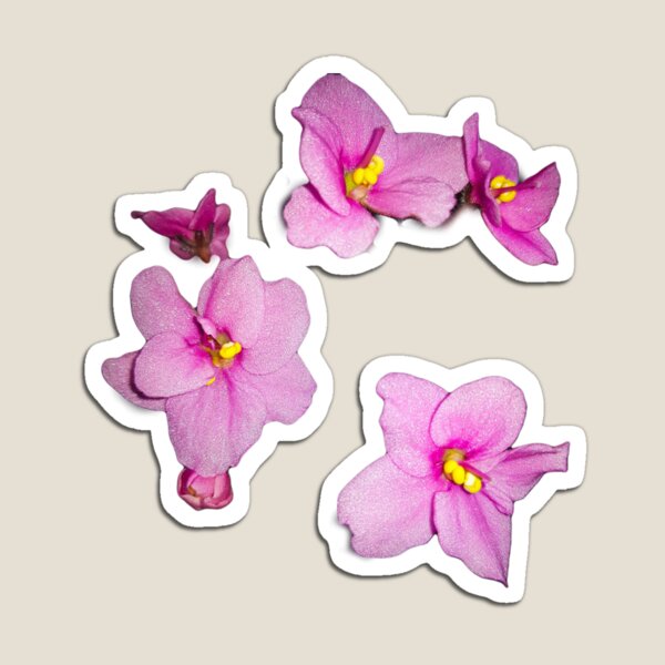 Item preview, Pink and delicate geranimus designed and sold by CreativeAMD.
