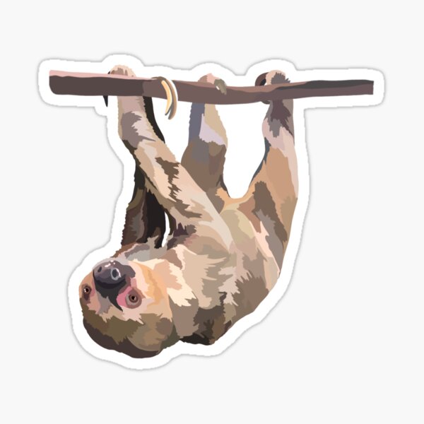T is for two toed sloth Sticker