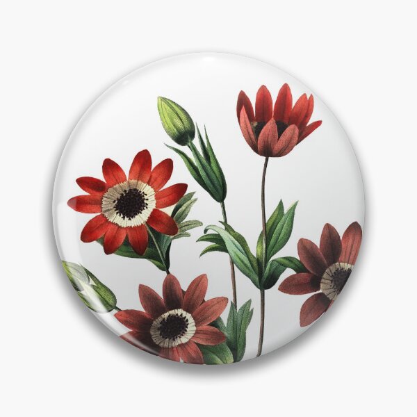 Item preview, Windflower Vibrant Flower Vintage Retro Art Botanical Illustration designed and sold by HumanlineImages.
