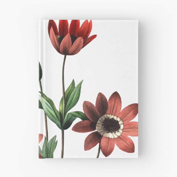 Item preview, Windflower Vibrant Flower Vintage Retro Art Botanical Illustration designed and sold by HumanlineImages.