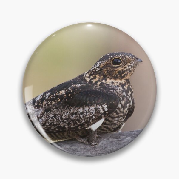 Artikelvorschau, Nighthawk auf einer Niederlassung entworfen und verkauft von Jukka Jantunen.