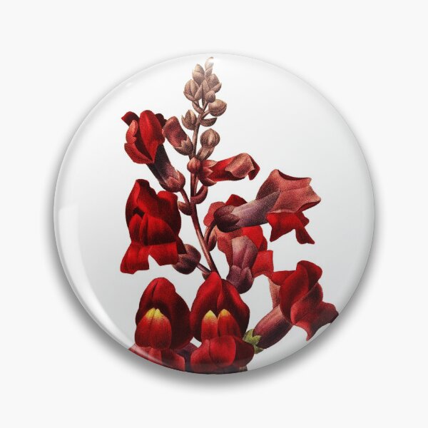 Item preview, Dragon Flower Vintage Retro Art Botanical Illustration designed and sold by HumanlineImages.