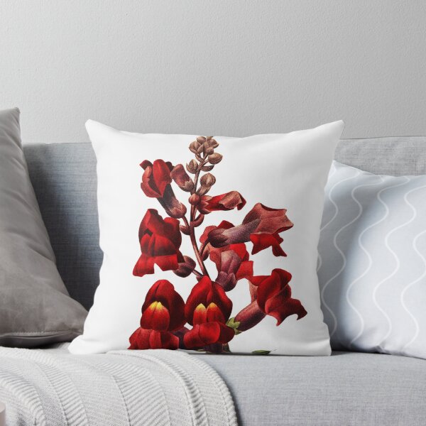 Item preview, Dragon Flower Vintage Retro Art Botanical Illustration designed and sold by HumanlineImages.