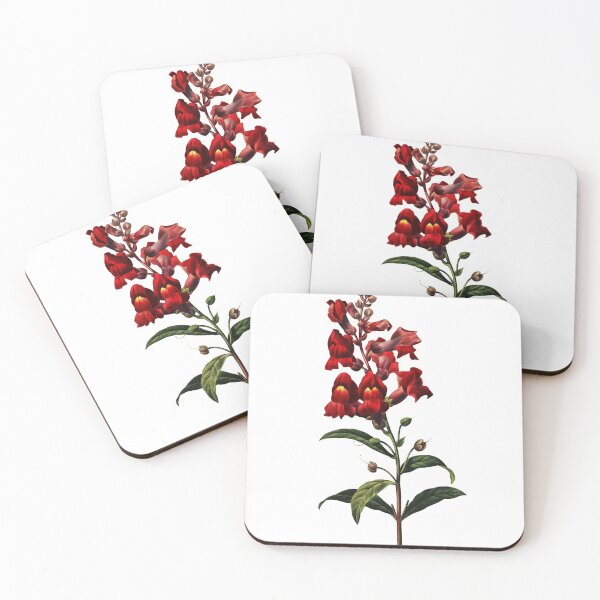 Item preview, Dragon Flower Vintage Retro Art Botanical Illustration designed and sold by HumanlineImages.